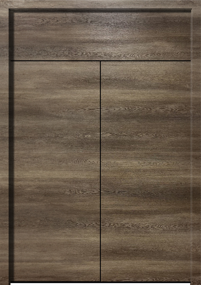 19.06.58 Кортекс ДСФ